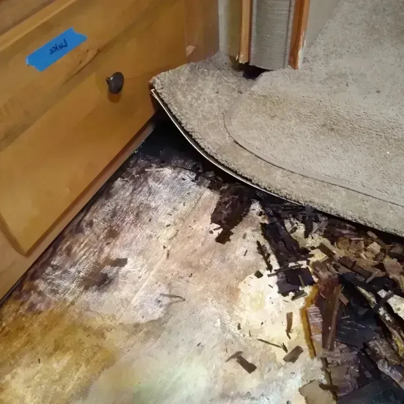 Wood Floor Water Damage in Noble County, IN